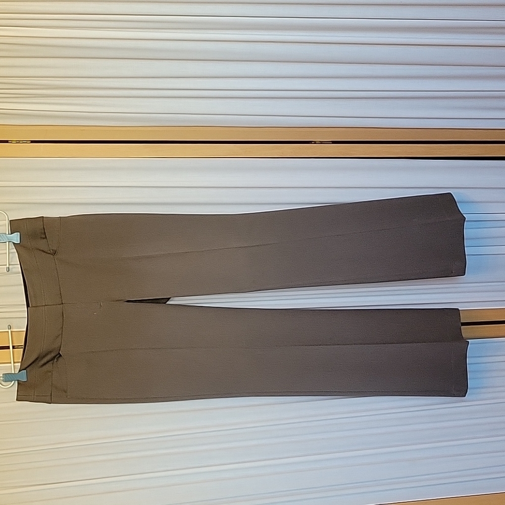 Gorgeous Taupe Express Editor Dress Suit Pants - EUC Size 6